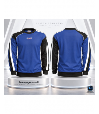 Sweatshirt Dragon Sport Combination Blue
