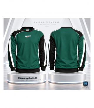 Sweatshirt Dragon Sport Combination Green