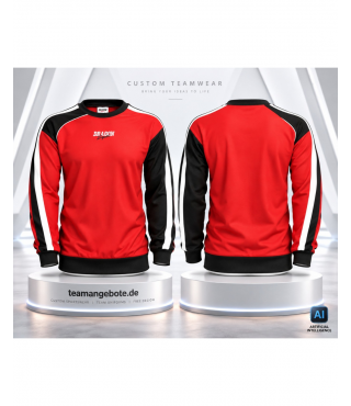 Sweatshirt Dragon Sport Combination Red
