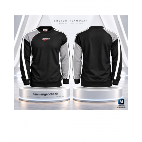 Sweatshirt Dragon Sport Combination Silver